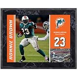 Mounted Memories Miami Dolphins Ronnie Brown 8X10 Color Plaque