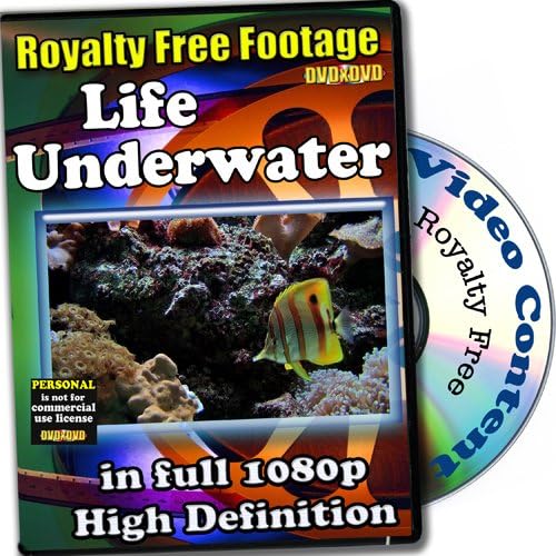 Underwater Life - Royalty Free Video Footage High Definition Collection, Personal License