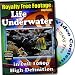 Underwater Life - Royalty Free Video Footage High Definition Collection, Personal License