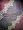 India Jamawar Wine Berry Cutwork Pashmina Shawl 80