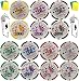 Poker Chips Without Carrying Case: 1500 Clay Composite Poker Chips with Gaming Accessories.