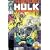 Incredible Hulk Visionaries - Peter David, Vol. 1