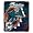 Miami Dolphins