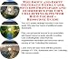 Search Our Specialty Mall : The Down and Dirty Generate Extra Cash, Success Principles and eCommerce for Coin Collecting Kits Web Biz 3 Course + Resource Guide