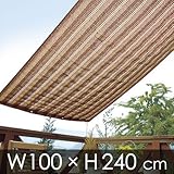 �u���[�W�[�I�[�j���O 100�~240 �u���E��