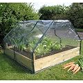 Botanico Let's Grow Square Cloche Cover