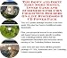 Search Our Specialty Mall : The Down and Dirty Earn More Money, Inner Game and eCommerce for Coin Collecting Holders On-line Businesses 3 CD Power Pack