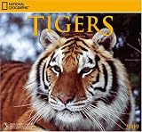 Tigers National Geographic 2009 Wall Calendar 12 X 13