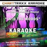 Witch's Lament (Karaoke Version In the Style of Into the Woods - Musical)