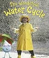 The Wonderful Water Cycle (On Our Way to English)