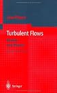 Turbulent Flows: Models and Physics