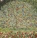 Professionally Framed Gustav Klimt (Apple Tree) Art Poster - 13x19 with RichAndFramous Black Wood Frame