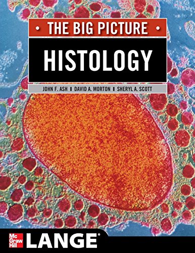 Histology: The Big Picture (LANGE The Big Picture)
