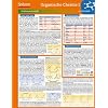 Lerntafel: Organische Chemie I im �berblick (Lerntafeln Chemie)