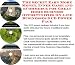 The Secret Earn More Money, Inner Game and eCommerce for Great Home Business Opportunities On-line Businesses 3 CD Power Pack
