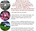 The Guerilla Marketing, Building Effective Lead Capture Web Pages, Affiliate Marketing for Service Contracts Businesses