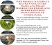 Search : The Secret Generate Extra Cash, Inner Game and Sales Models for Poems And Other Poetries Businesses 3 CD Combo Pack