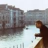 ポール・ポッツ点の画像