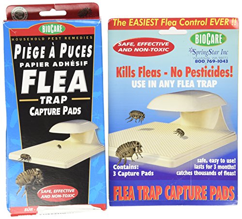 Flea Trap w/ 3 Capture Pads