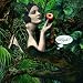 Digital Scrapbooking Kit: Rain Forest from Art by January