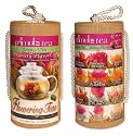 Primula TMV-2012 Flowering Green-Tea 12-Count Variety Pack with Gift Canister
