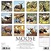 2016 Moose Wall Calendar