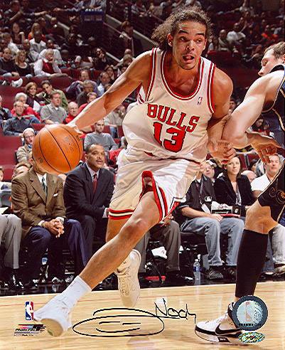 Joakim Noah Chicago Bulls - Action - Autographed 16x20 Photograph