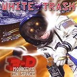 3d Monkeys in Space