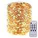 ER CHEN 165ft Led String Lights,500 Led Starry Lights on 50M Copper Wire String Lights + 12V DC Power Adapter + Remote Control(Warm White)