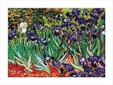 Posters: Vincent Van Gogh Poster Art Print - Iris (32 x 24 inches)