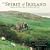 Spirit of Ireland 2009 Wall Calendar (Calendar)
