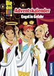 Die drei !!! Adventskalender. Engel i...