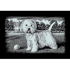 Mammut A30SSF8 - Kratzbild Super Silber - Westi, 40 x 30 cm