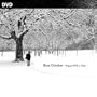 Blue October: Argue with a Tree...