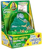 Original Ladybug Land with Voucher