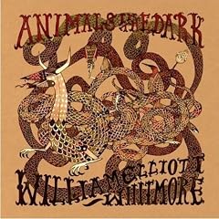 Animals in the Dark [Vinyl LP]