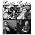 Thumbnail image of Bottle Rockets