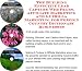 The Guerilla Marketing, Building Effective Lead Capture Web Pages, Affiliate Marketing for Foreign Country Dictionary Businesses