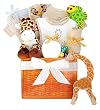 "Party in the Jungle" Baby Gift Basket