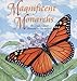 Magnificent Monarchs