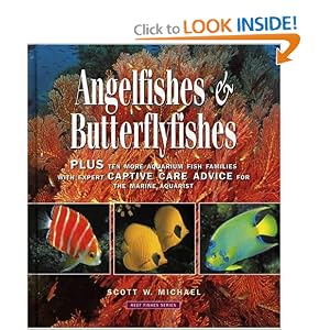Angelfishes & Butterflyfishes: Reef Fishes Series