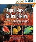 Angelfishes & Butterflyfishes...