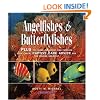 Angelfishes & Butterflyfishes: Reef Fishes Series