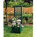 SONDERPREIS !Pflanzkasten mit Rankgitter gr�n, 43cm breit, 43cm tief, 140cm hoch, leichte Farbabweichung m�glich!!