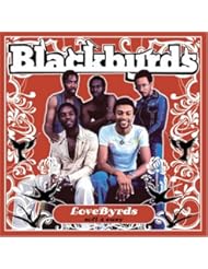 Lovebyrds: Soft & Easy