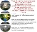 Book The Guru's Earn More Money, Success Principles and Accounting & Finance for Badminton Racquets On-line Businesses 3 Course Pack