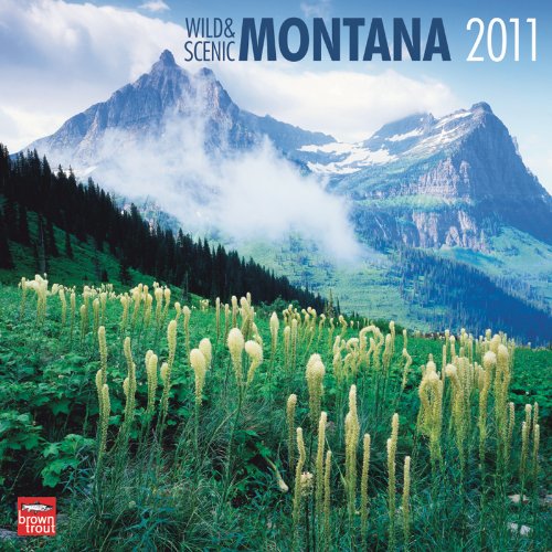 Montana Wild & Scenic (Multilingual Edition)