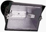 Cooper Lighting / Regent Light #GP800WL 300/500W Bronze Flood Light