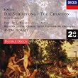 Creation Comp/Salve Regina