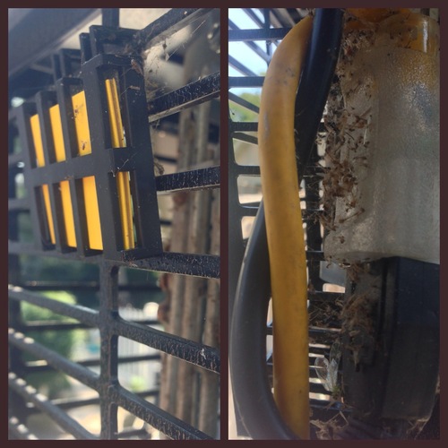 Black Flag BZOCT1 Bug Zapper Octenol Lure Home Insect